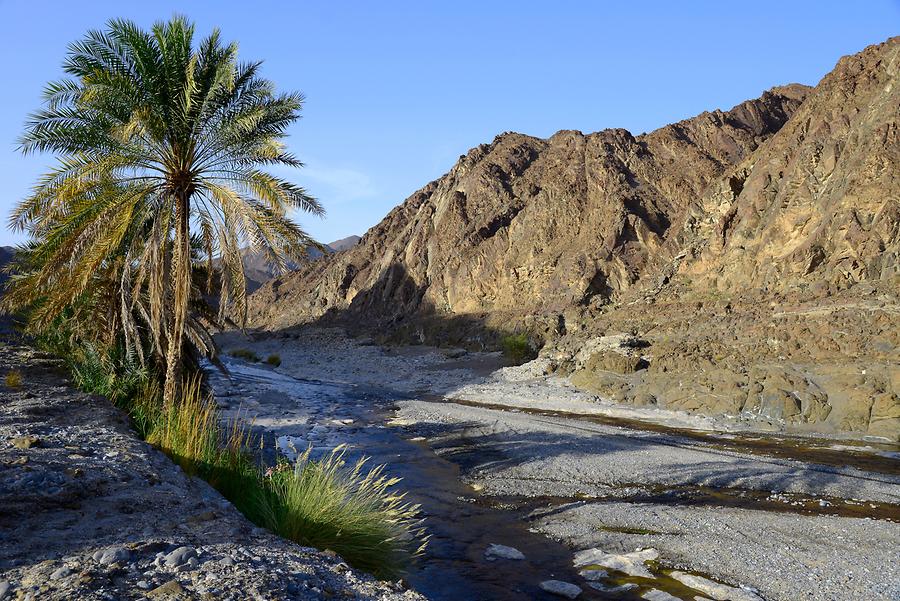 Wadi Al Abyadh