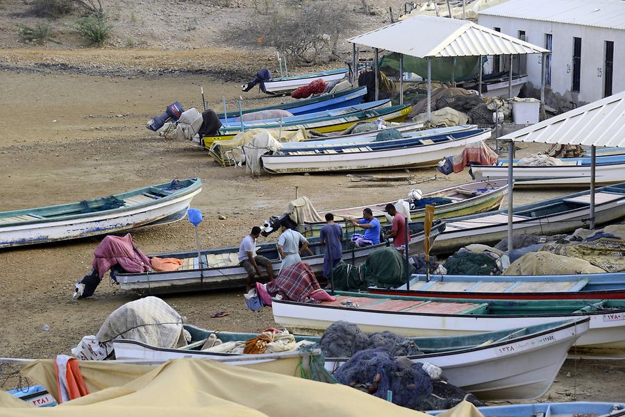 Fishing Boats