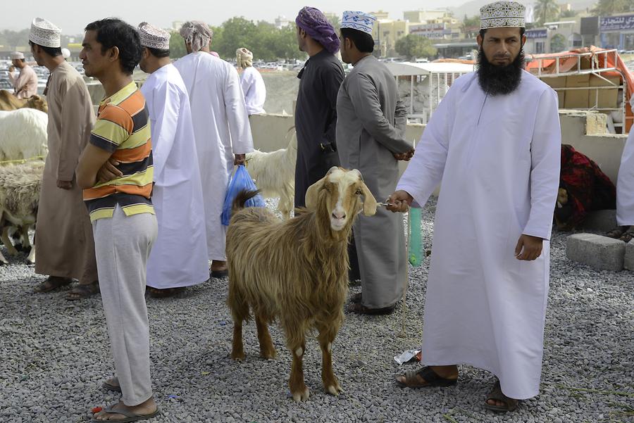 Nizwa - Animal Market