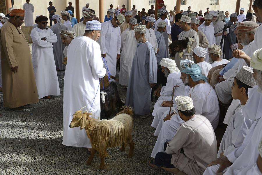 Nizwa - Animal Market