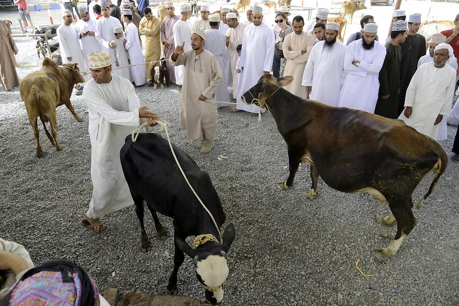 Nizwa - Animal Market