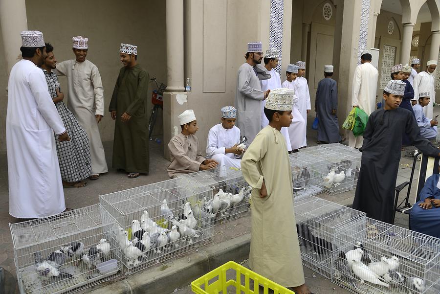 Nizwa - Small Animal Market