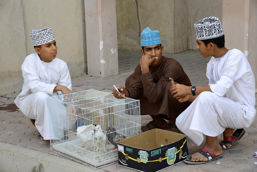 Nizwa - Small Animal Market