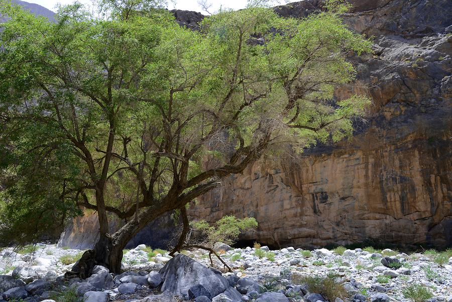 Wadi Tanuf