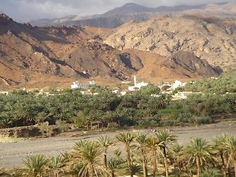 From Muscat into the desert