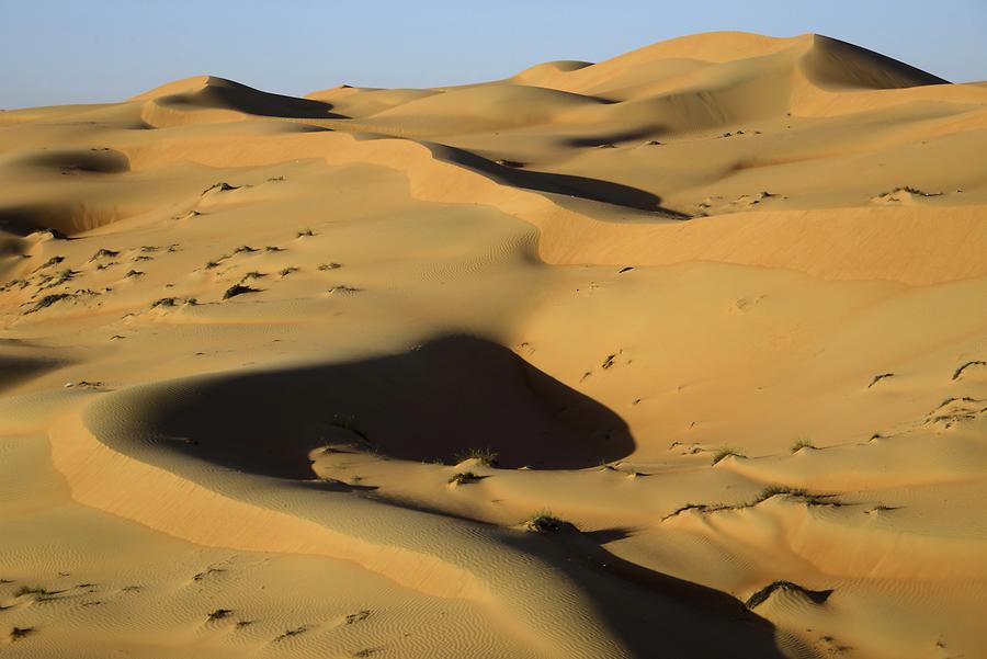 Sand Dunes