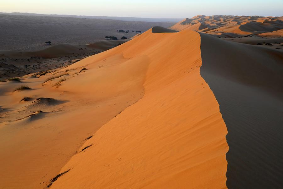 Sand Dunes at Sunset