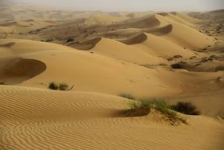 Sharqiya Sands, formerly known as Wahiba Sands