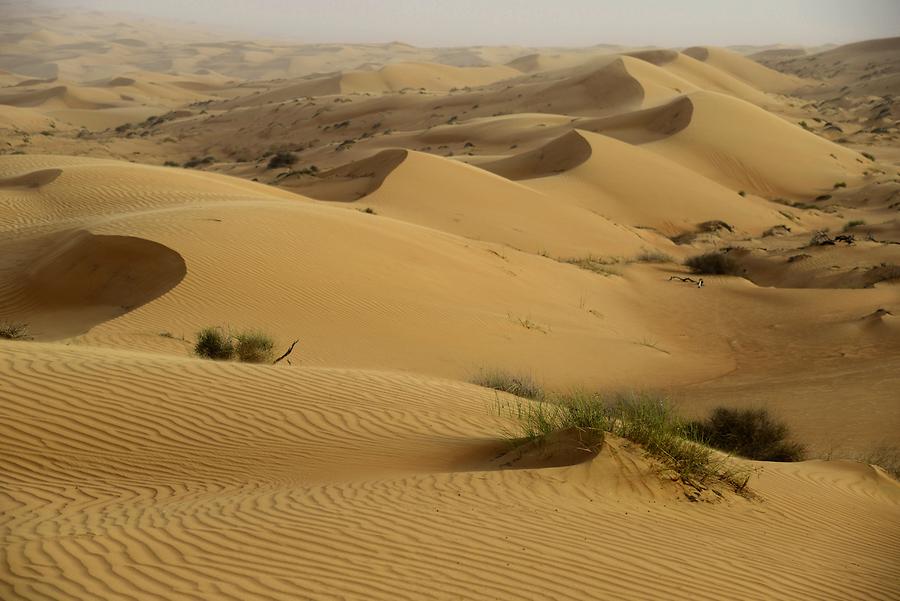 Sharqiya Sands, formerly known as Wahiba Sands