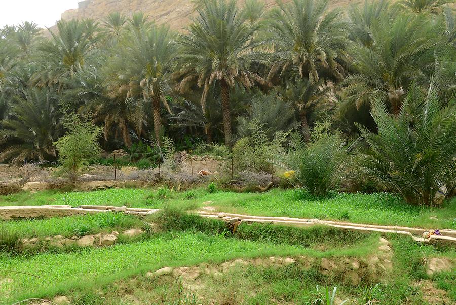 Wadi Bani Khalid