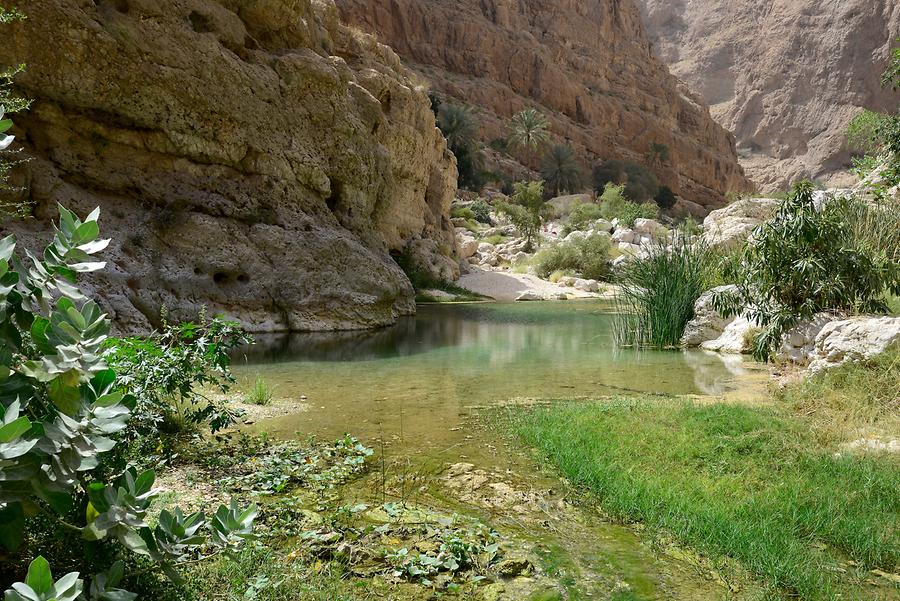 Wadi Shab