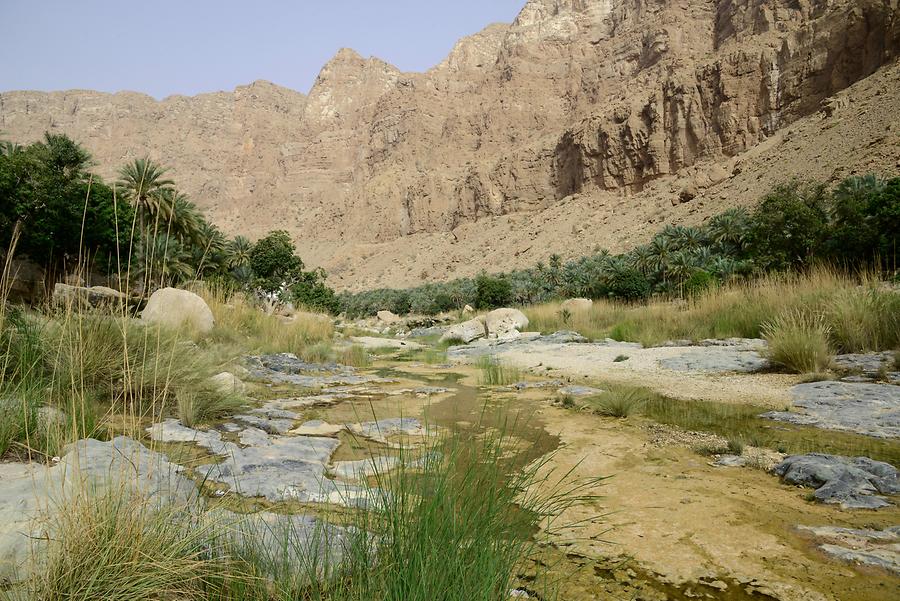 Wadi Tiwi