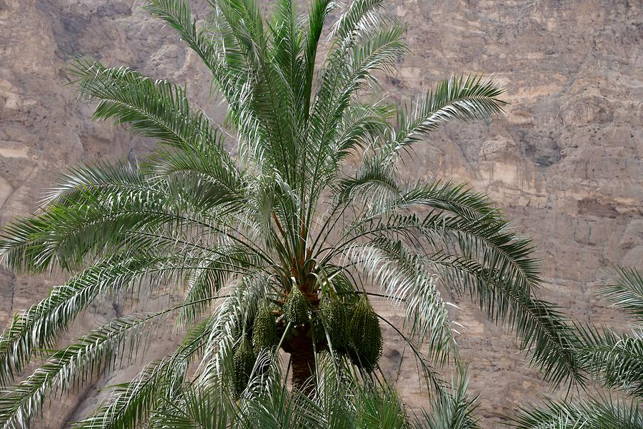 Wadi Tiwi