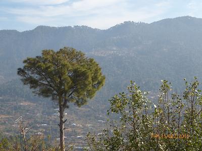 Traditional Pakistan