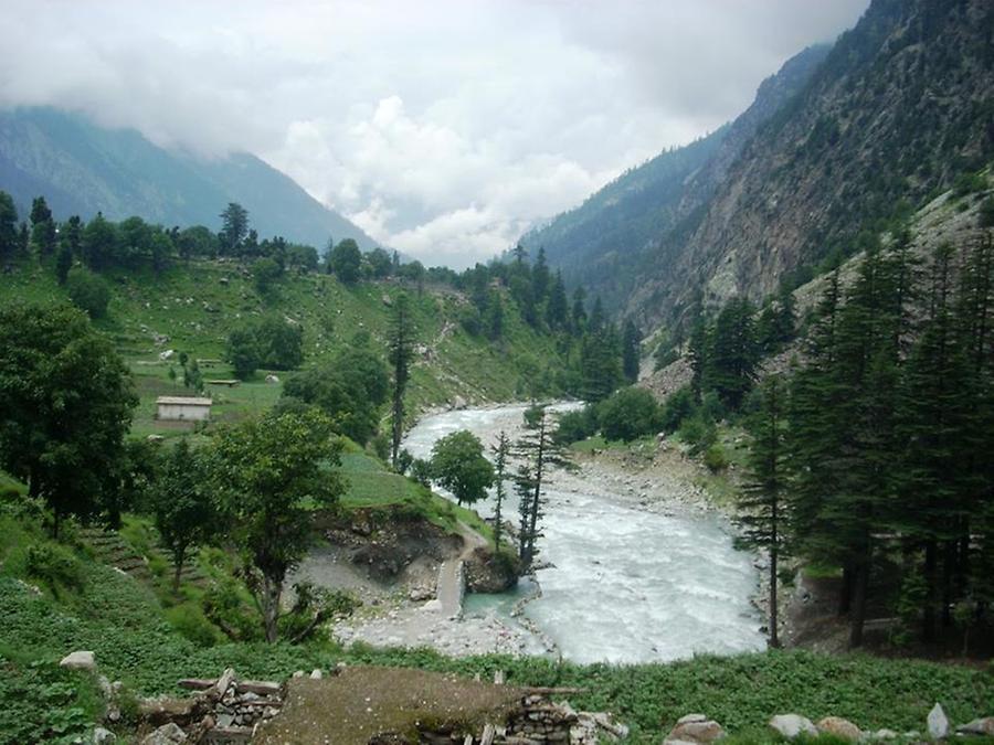 Greenery in the area