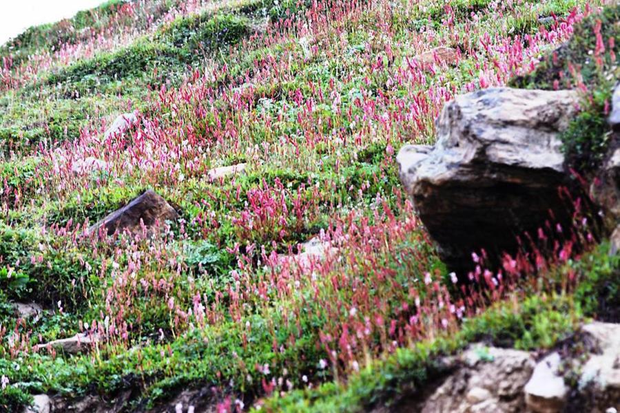 Hunza Valley