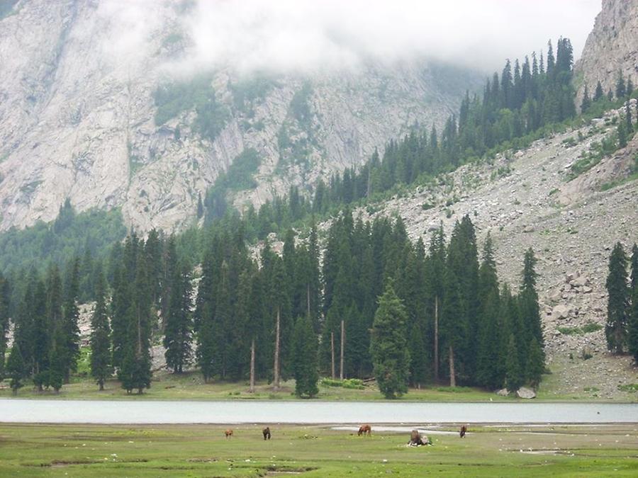 Swat valley