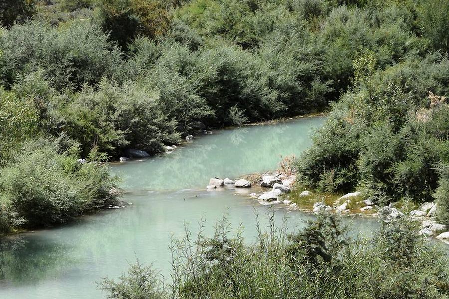 Vegetation in Hunza