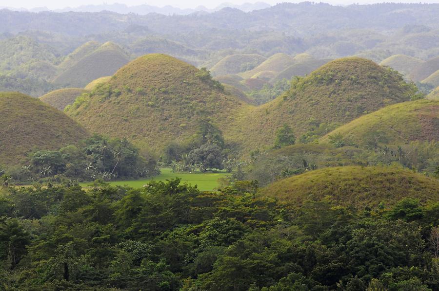 Chocolate Hills