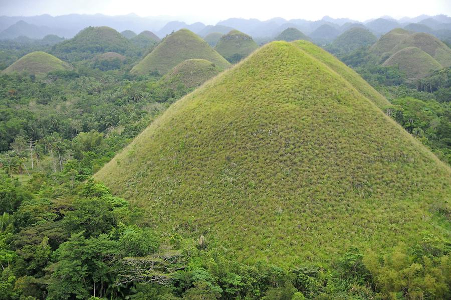 Chocolate Hills