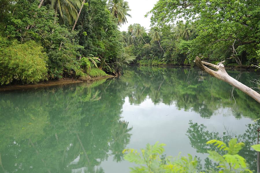 Loboc River