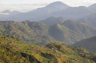 Vegetable terraces