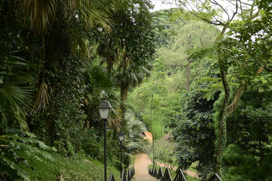 Fort Canning Park