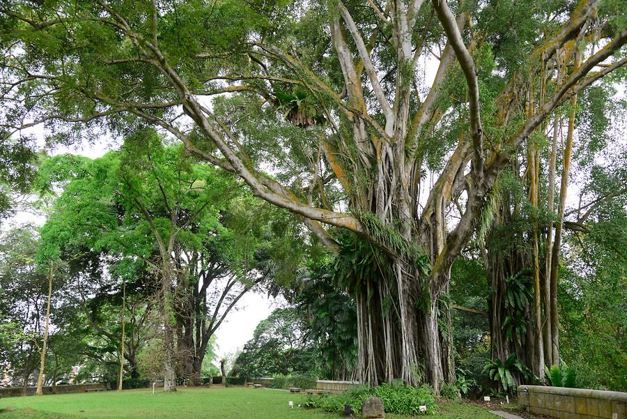 Fort Canning Park