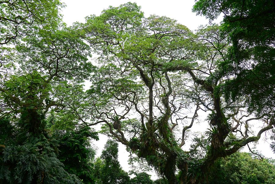 Fort Canning Park