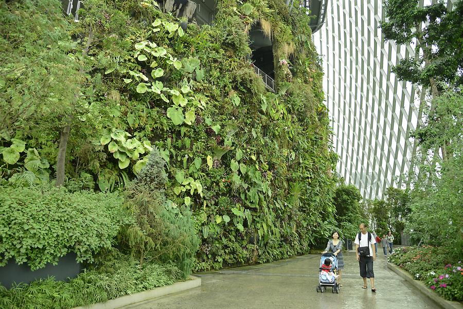 Gardens by the Bay - Conservatory 'The Cloud Forest'; Inside