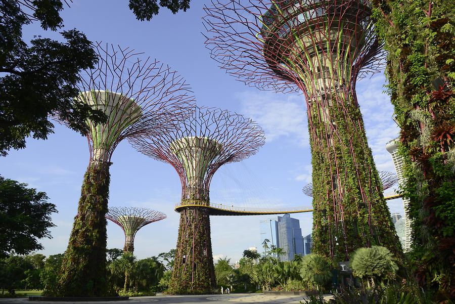 Gardens by the Bay - Supertrees