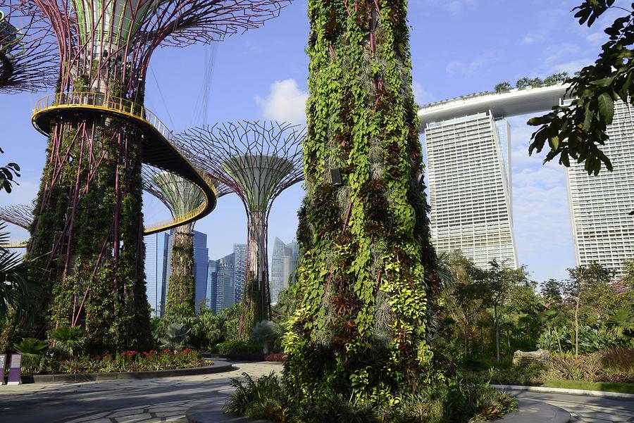 Gardens by the Bay - Supertrees