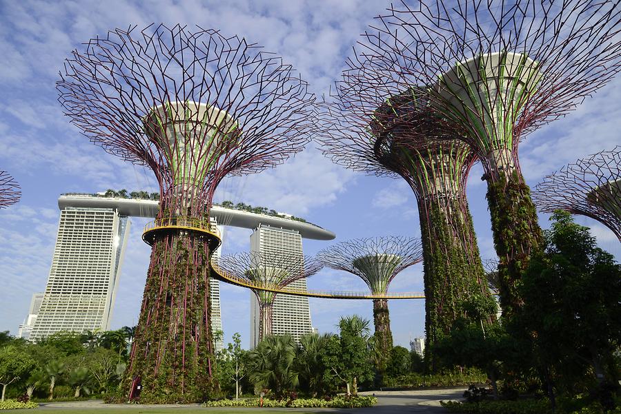 Gardens by the Bay - Supertrees