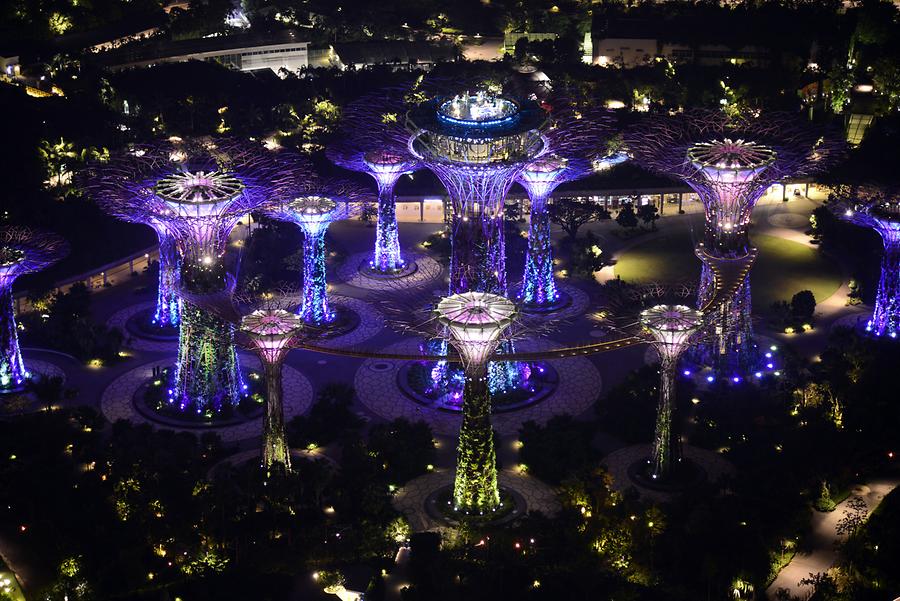 Illuminated Supertrees at Night