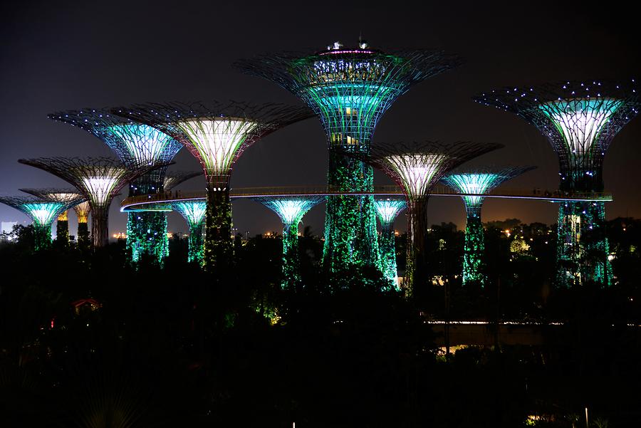 Illuminated Supertrees at Night