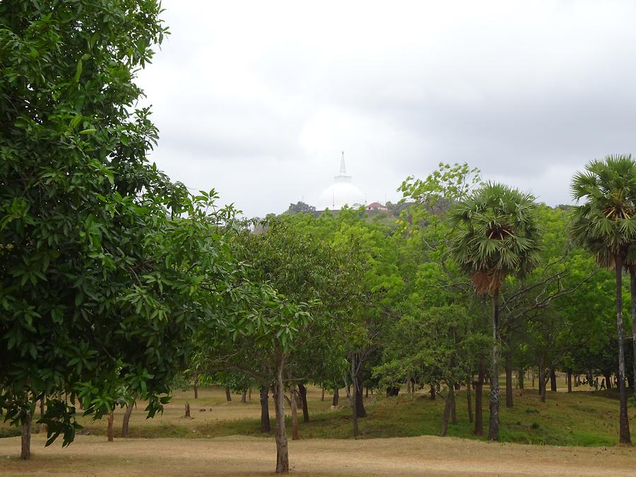 Anuradhapura - Isurumuniya Monastery