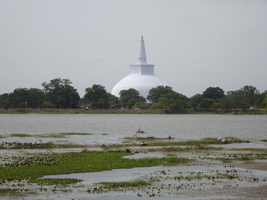 Anuradhapura - Ruwanwelisaya Stupa