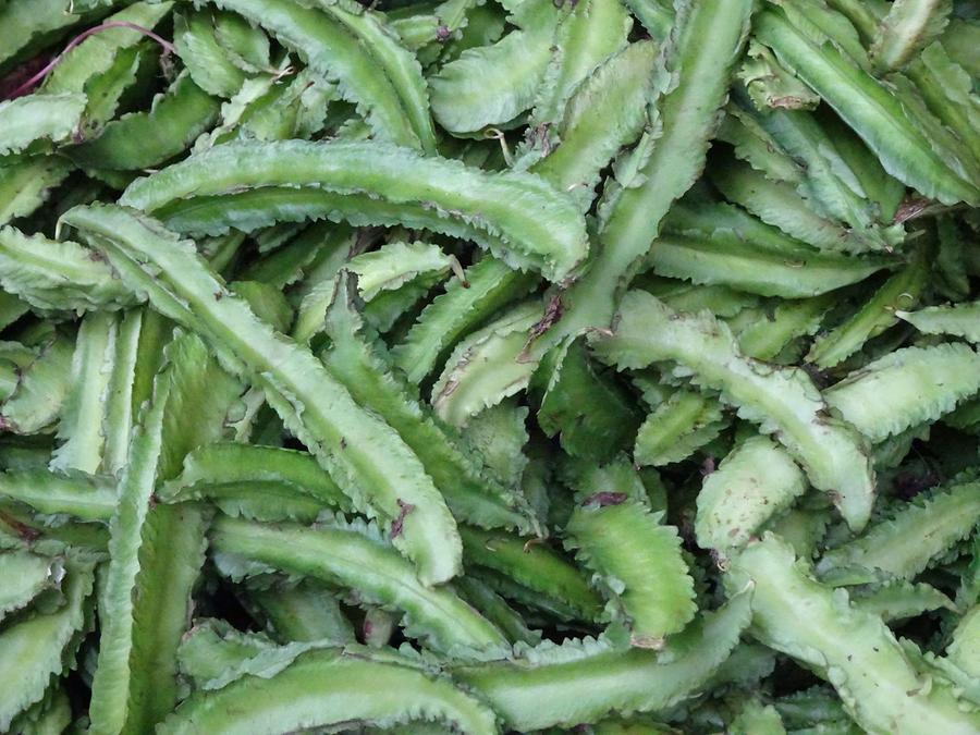 Bandarawela - Central Market