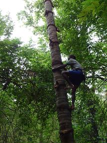 Near Matale - Herb Garden (6)