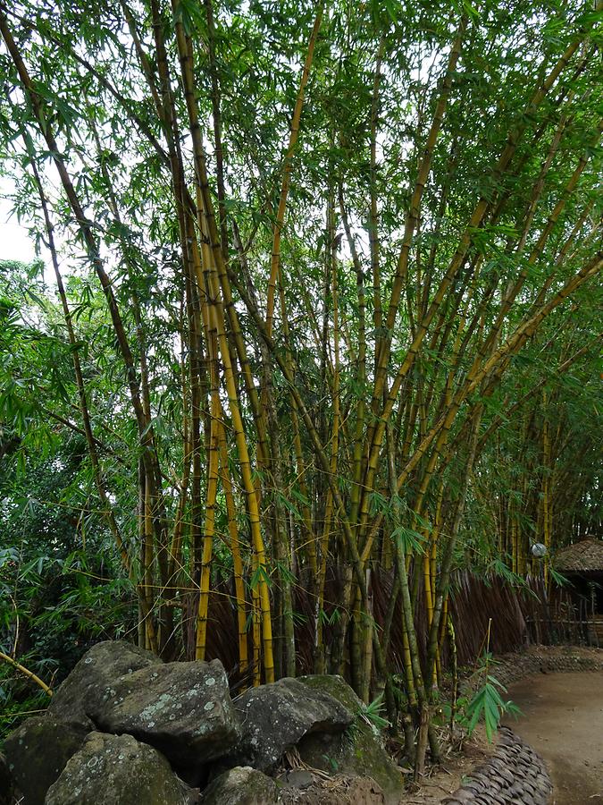 Heading for Sigiriya - Kurunegala