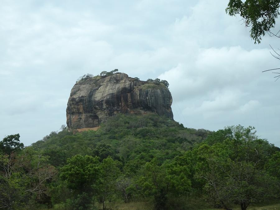 Sigiriya Rock Sigiriya Rock