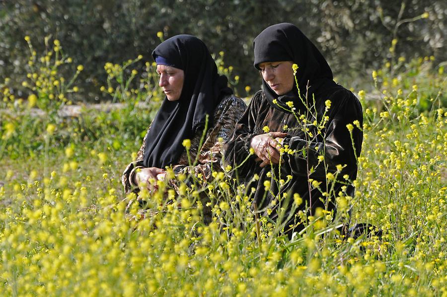 Pilgrims