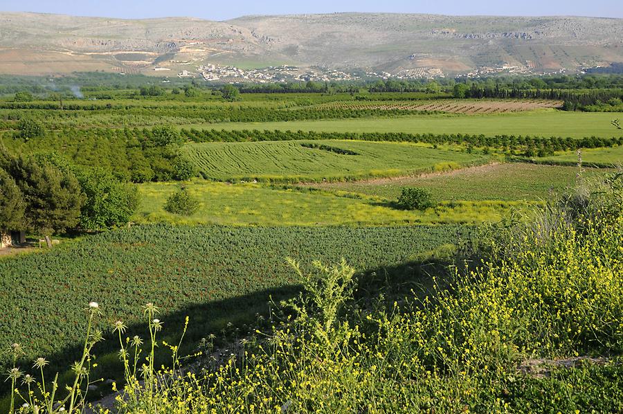 Landscape near Ain Dara