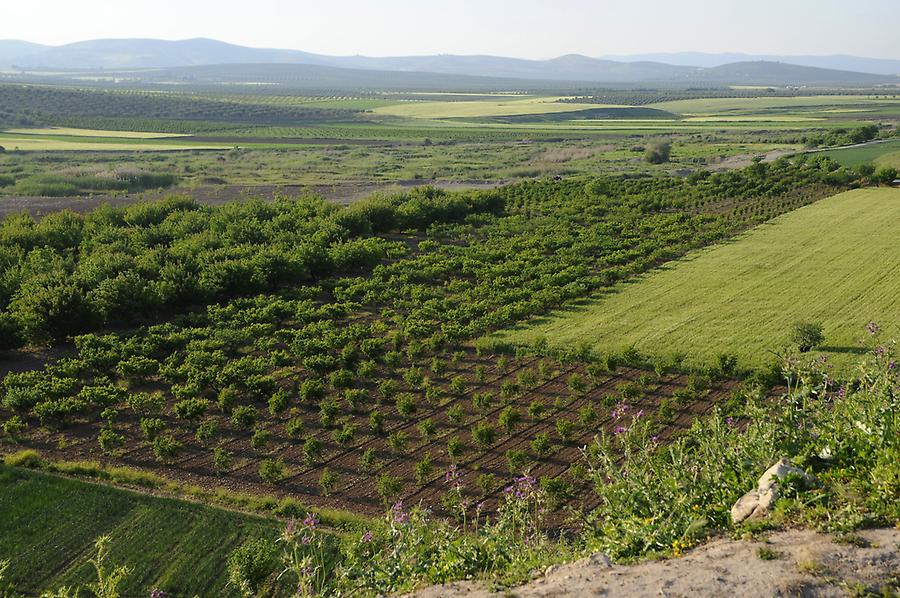 Landscape near Ain Dara