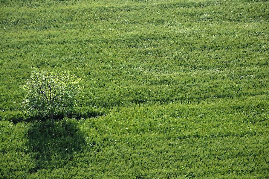 Landscape near Ain Dara