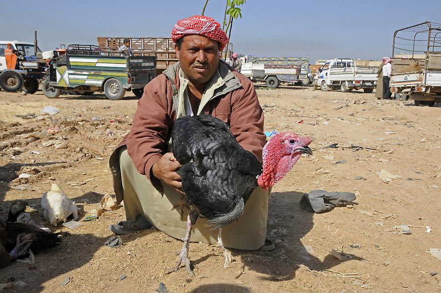 Beduin animal market