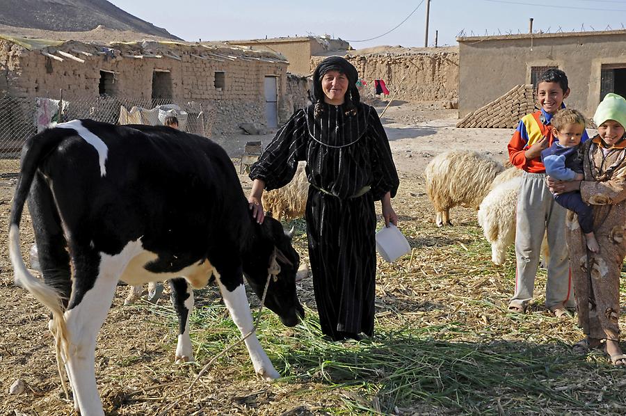 Village near Zenobia