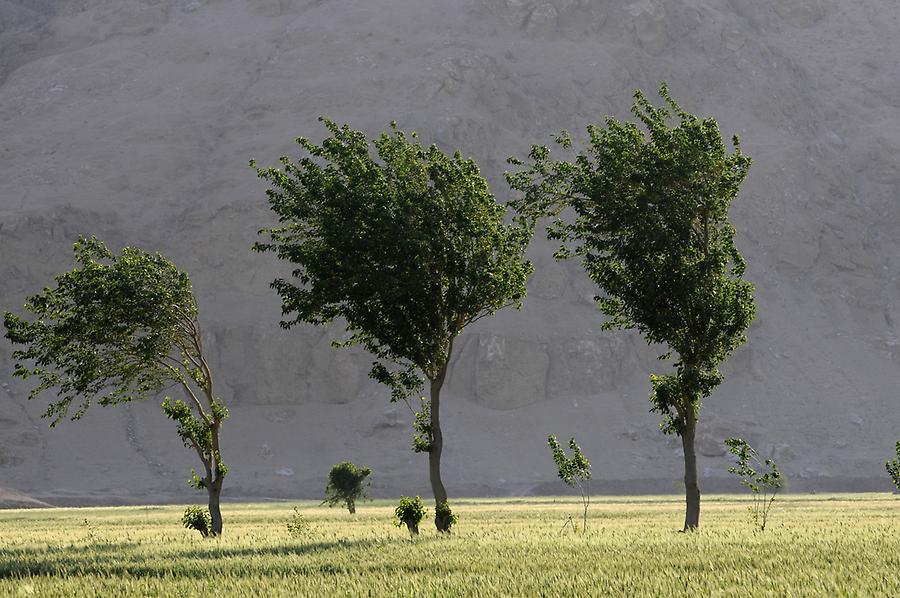 Landscape near Deir az Zur