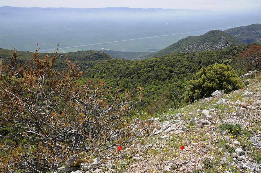 Landscape near Slunfah