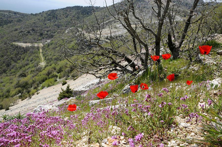 Landscape near Slunfah